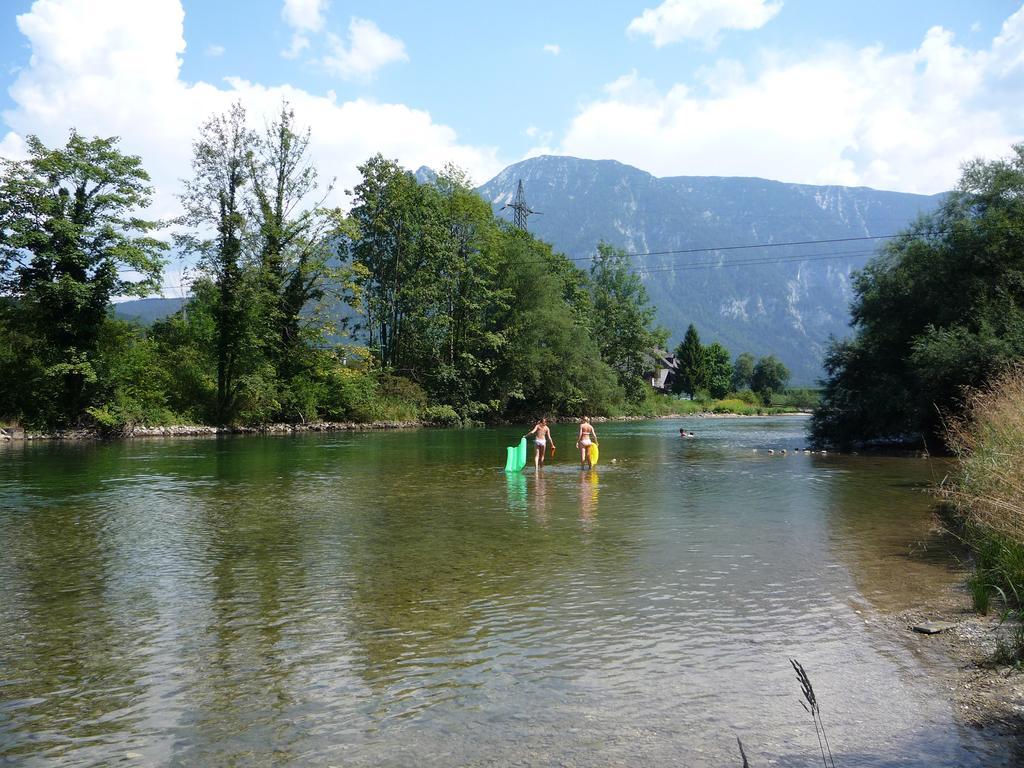 Landhaus Hallstatt Feeling - Apartment - Self Check-In Bad Goisern Exterior photo